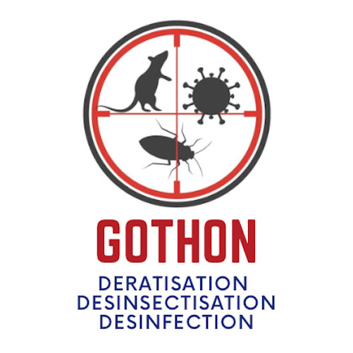 Gothon Dératisation